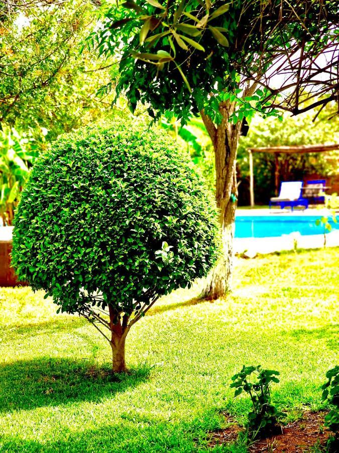 Bed and Breakfast Le Domaine De Carole Marrakech Douar Akkara Esterno foto