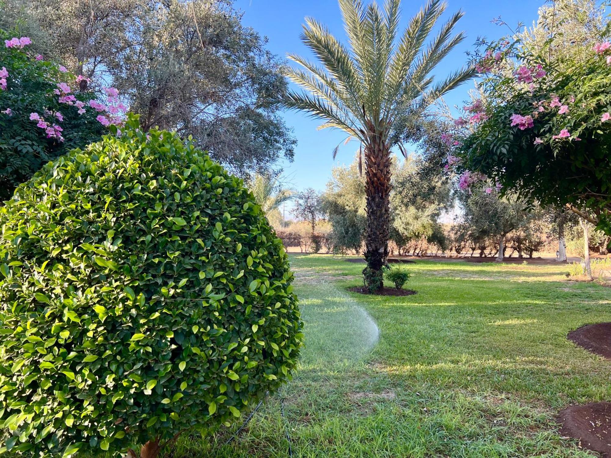 Bed and Breakfast Le Domaine De Carole Marrakech Douar Akkara Esterno foto