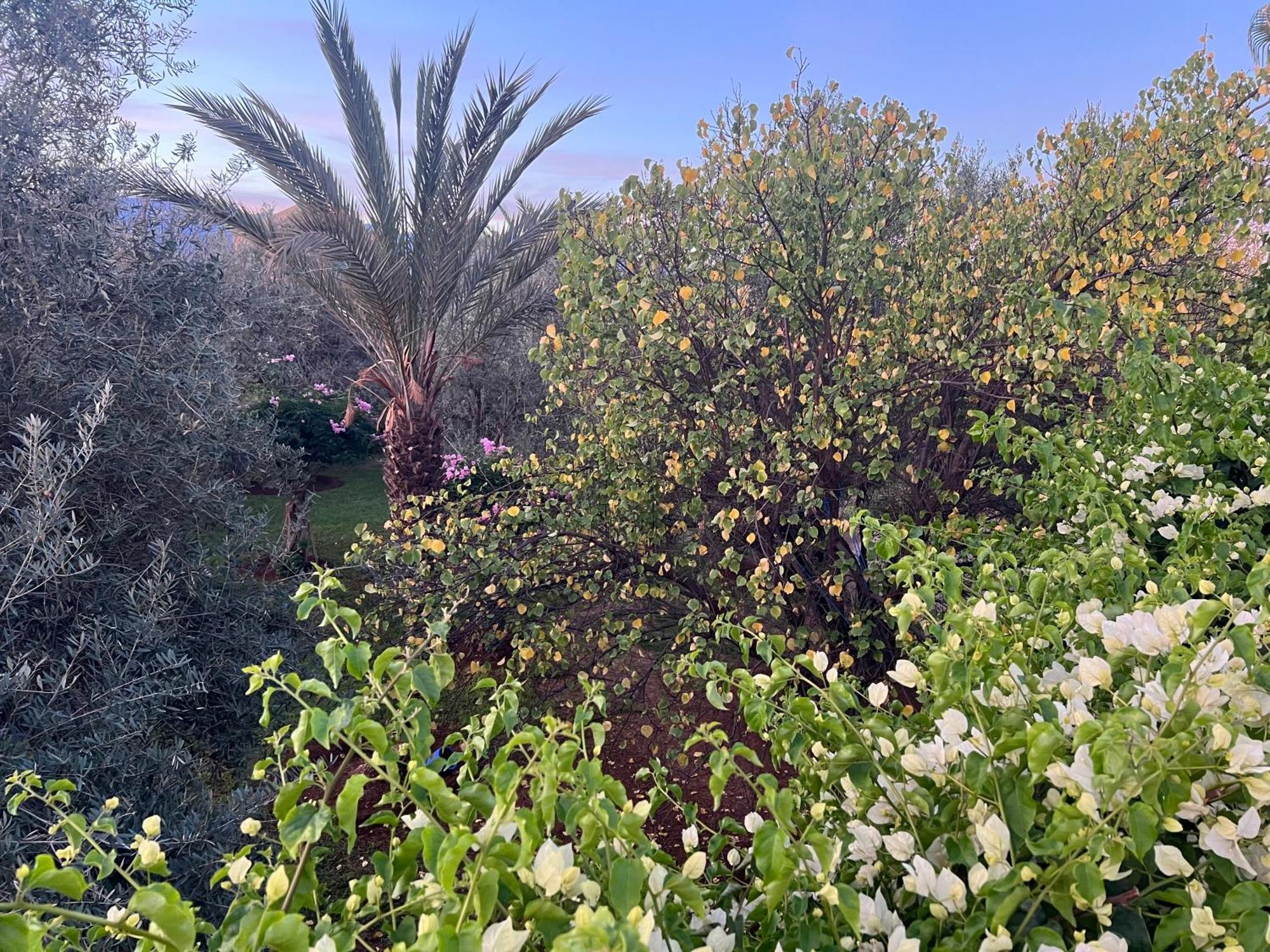 Bed and Breakfast Le Domaine De Carole Marrakech Douar Akkara Esterno foto
