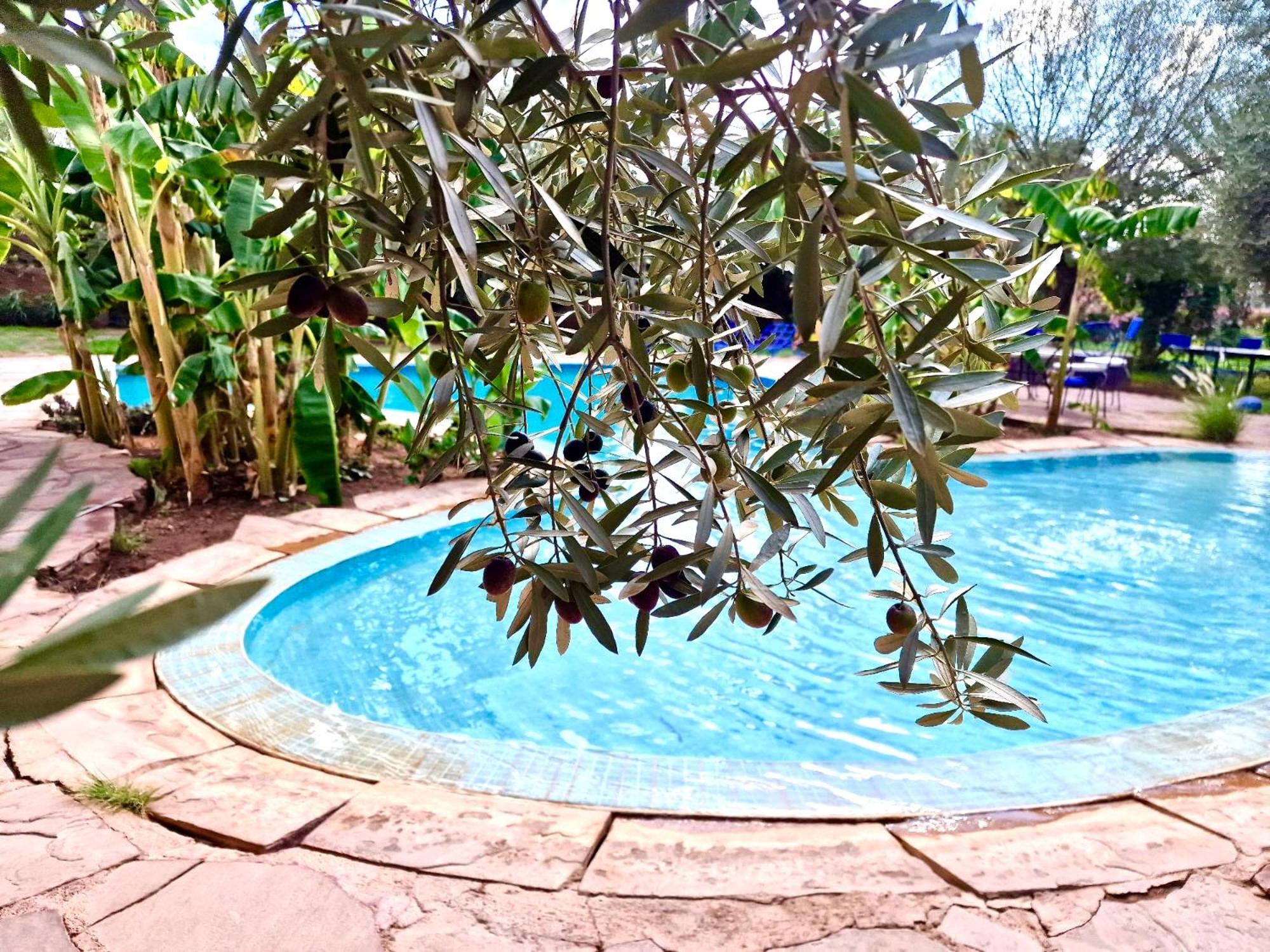 Bed and Breakfast Le Domaine De Carole Marrakech Douar Akkara Esterno foto
